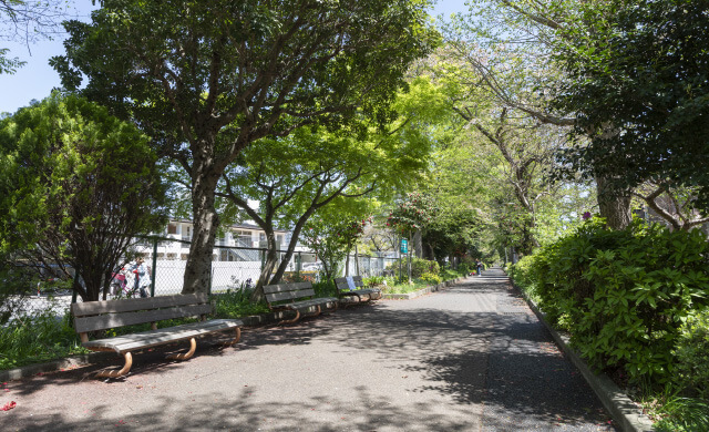 さいわい緑道