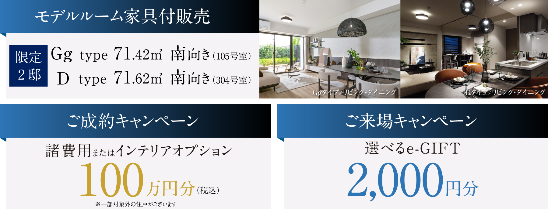 キャンペーン情報