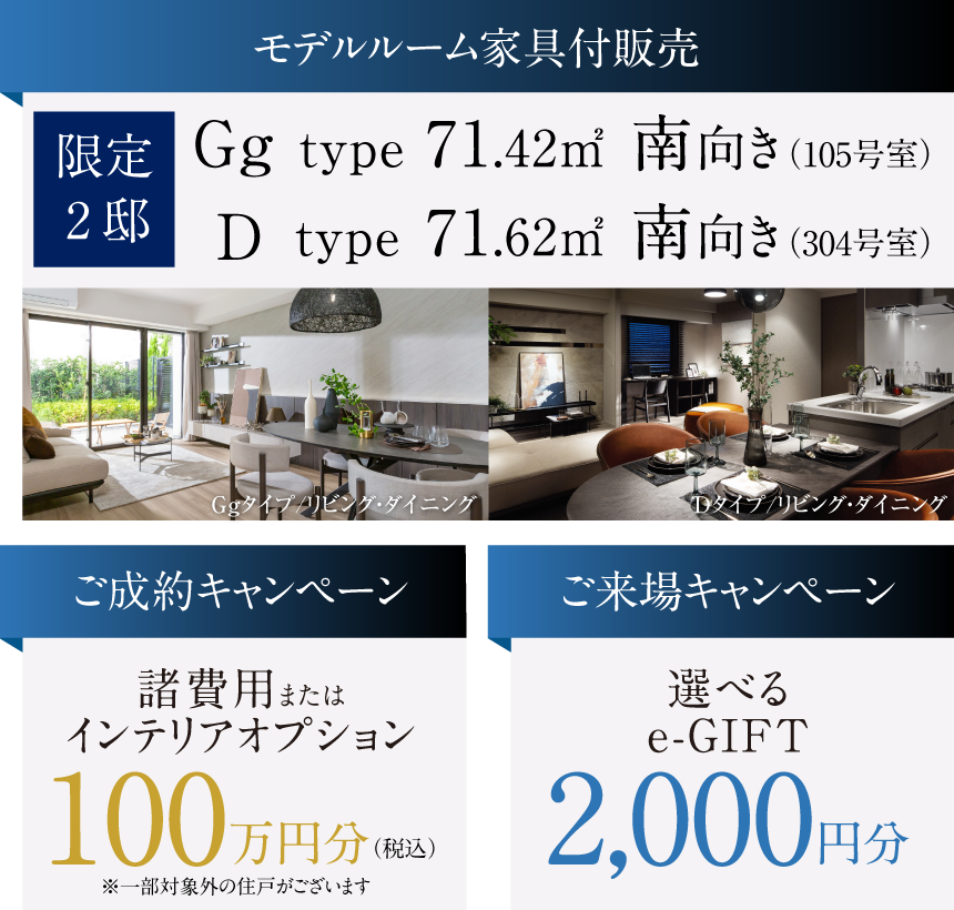 キャンペーン情報