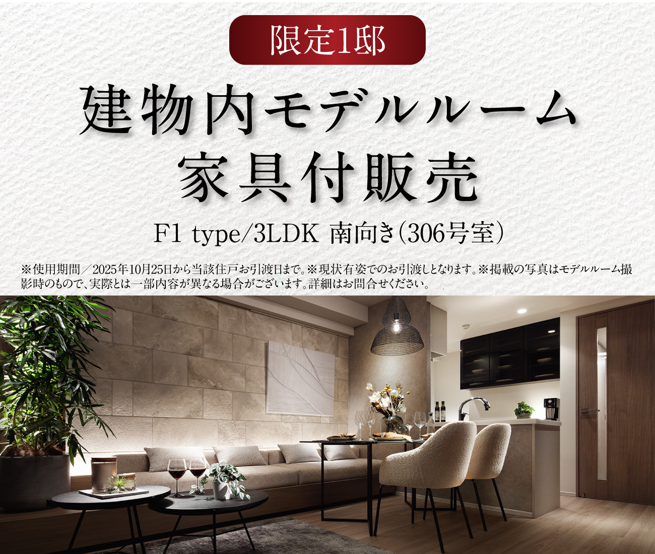 限定1邸　建物内モデルルーム家具付き販売
